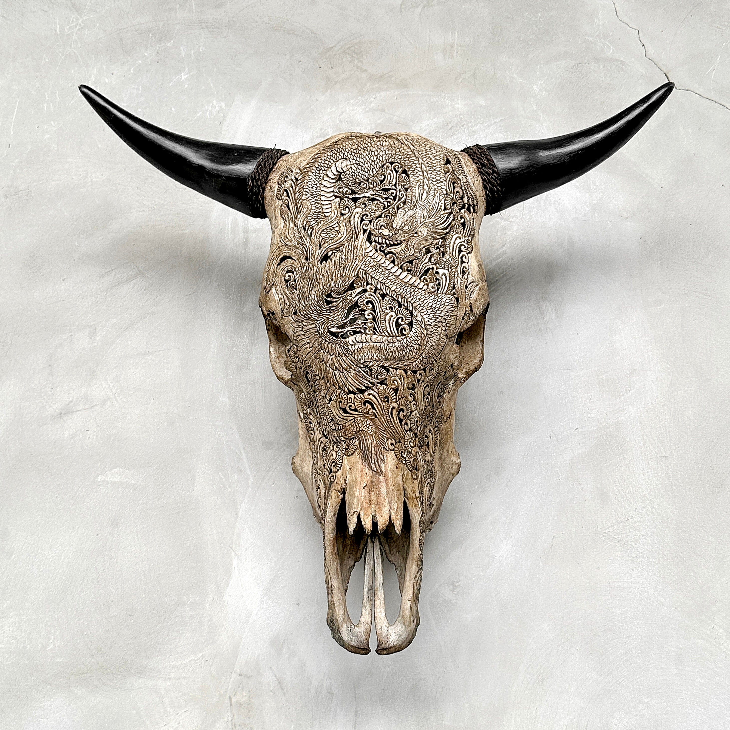 Bull Skull Carved Dragon - Skull,A/155