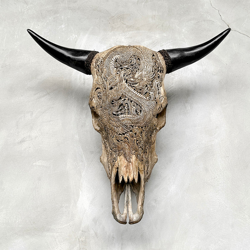 Bull Skull Carved Dragon - Skull,A/155