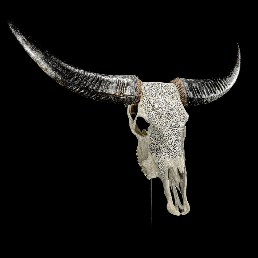 Grey Carved Buffalo Skulls with fern motif | Skull,A/111