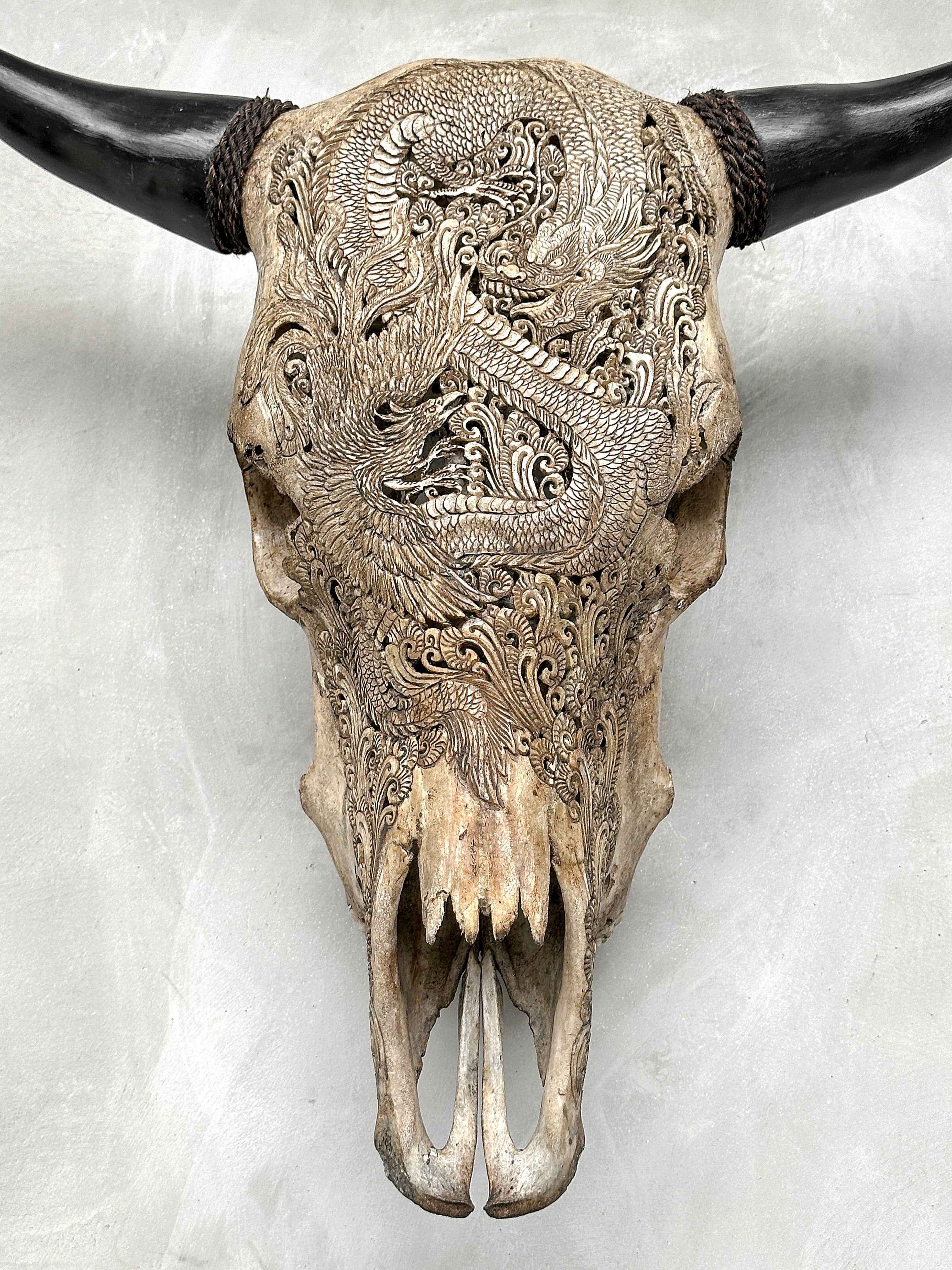 Bull Skull Carved Dragon - Skull,A/155
