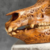 Carved Wild Boar Tribal carving N1/047