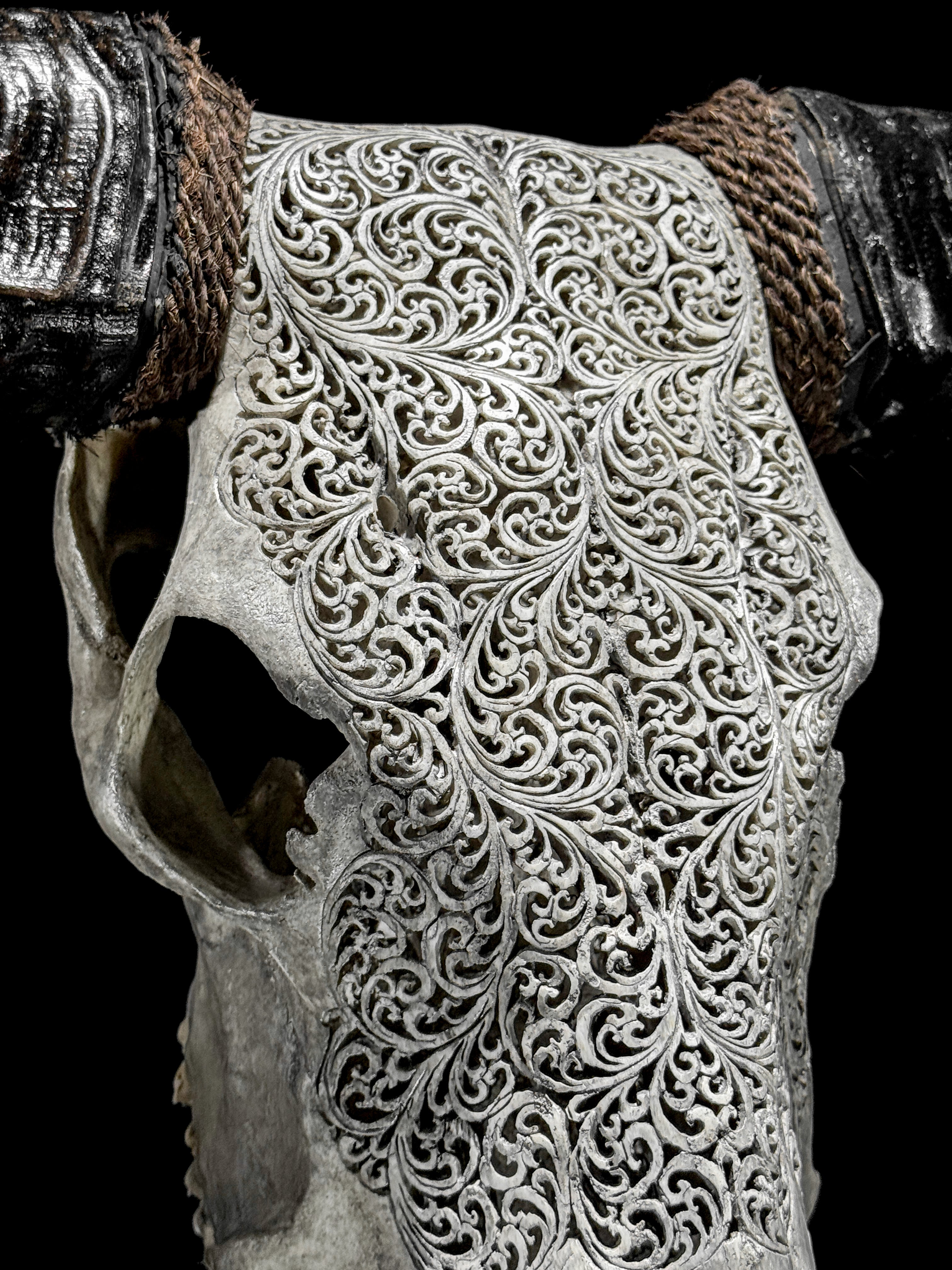 Grey Carved Buffalo Skull – Fern Motif | Real Bone Wall Art with Horns | Tribal Skull Decor | Handmade & Ethically Sourced from Bali - Skull,A/111