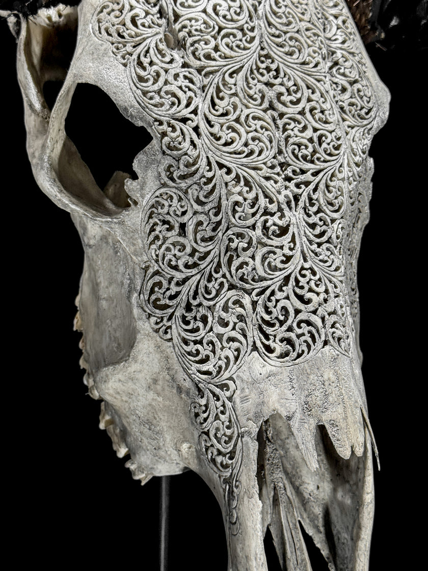 Grey Carved Buffalo Skulls with fern motif | Skull,A/111