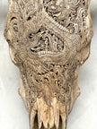 Bull Skull Carved Dragon - Skull,A/155