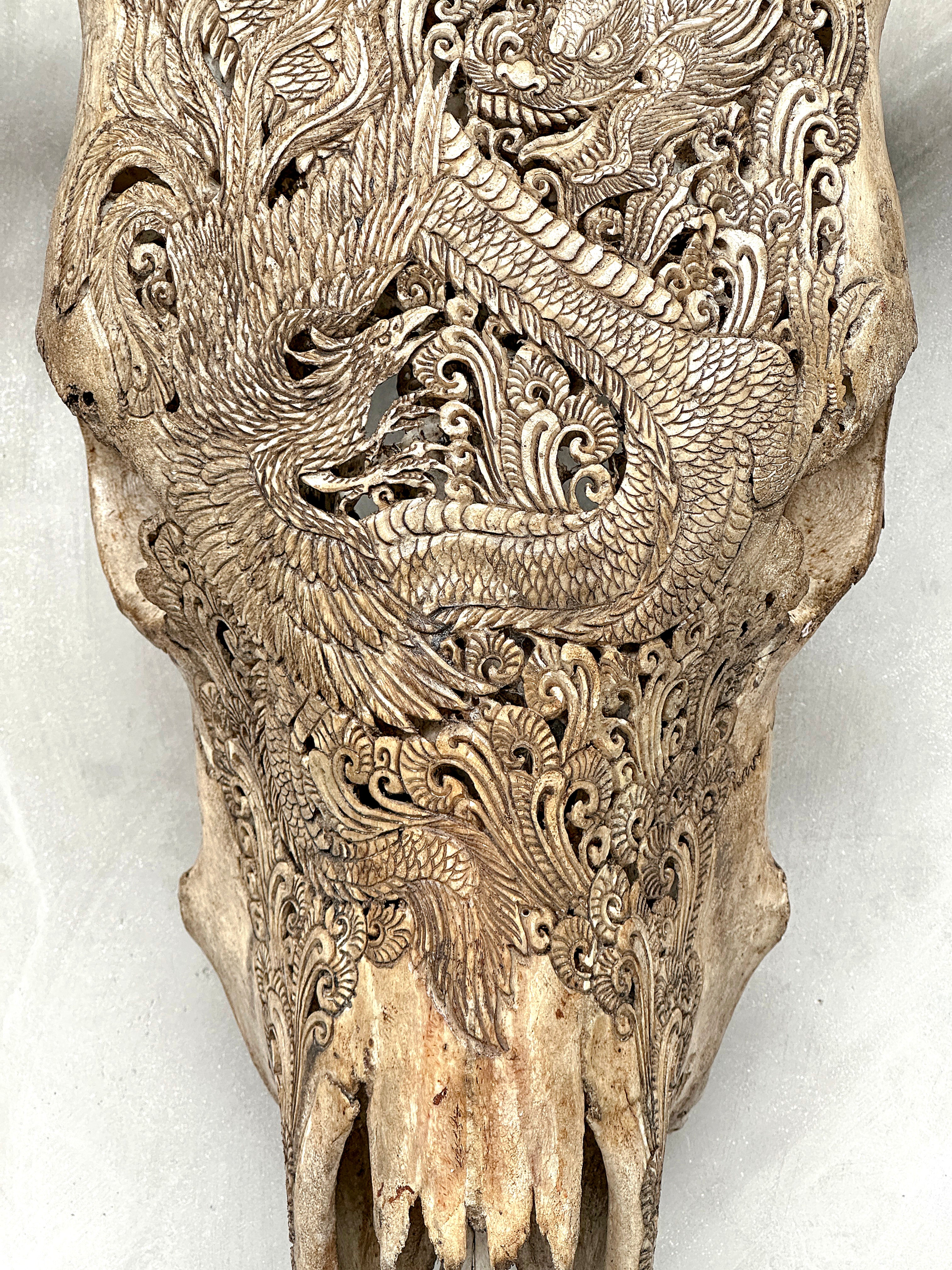 Bull Skull Carved Dragon - Skull,A/155