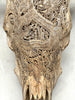 Bull Skull Carved Dragon - Skull,A/155