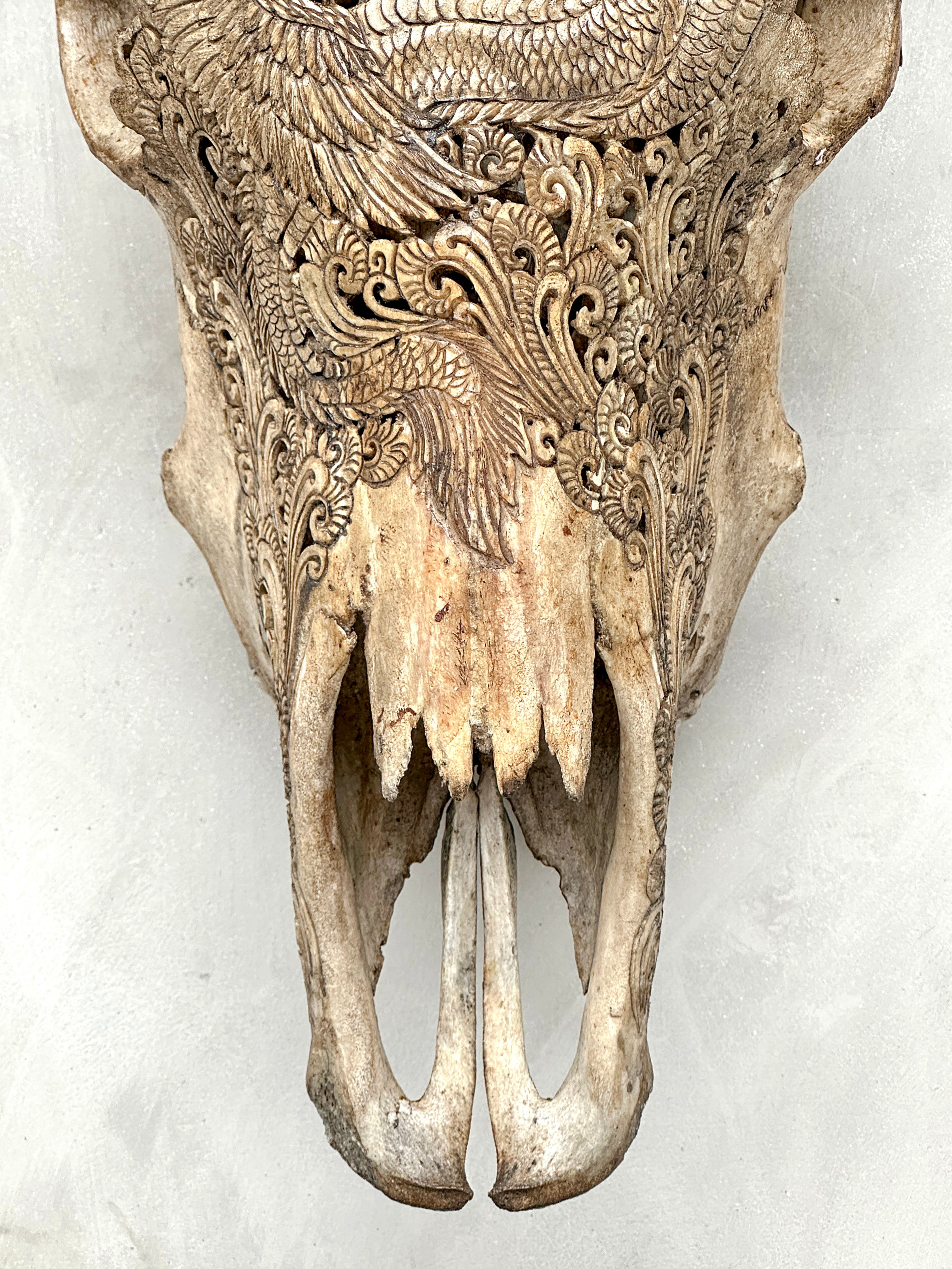 Bull Skull Carved Dragon - Skull,A/155