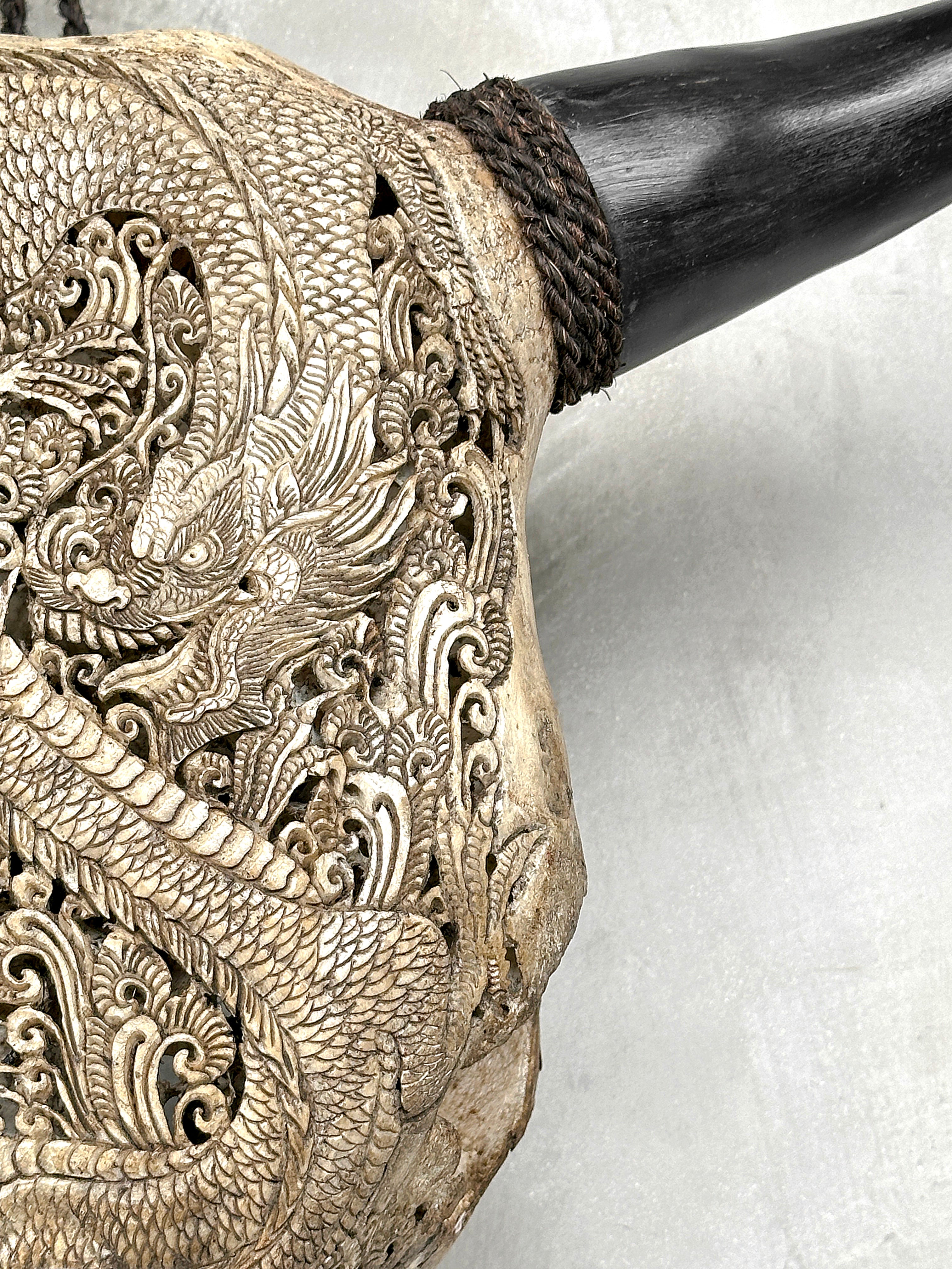 Bull Skull Carved Dragon - Skull,A/155