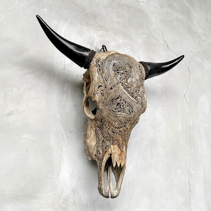 Bull Skull Carved Dragon - Skull,A/155