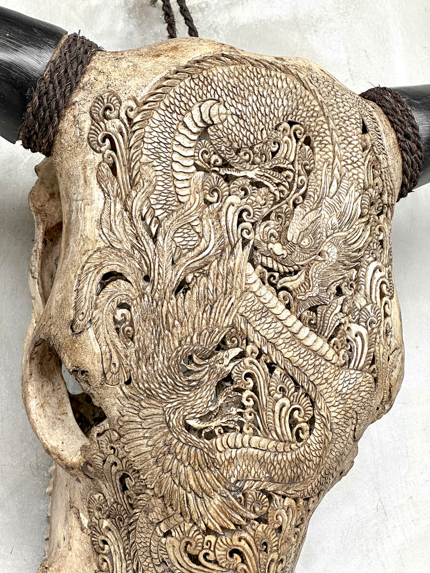 Bull Skull Carved Dragon - Skull,A/155