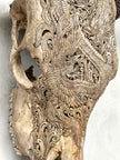 Bull Skull Carved Dragon - Skull,A/155