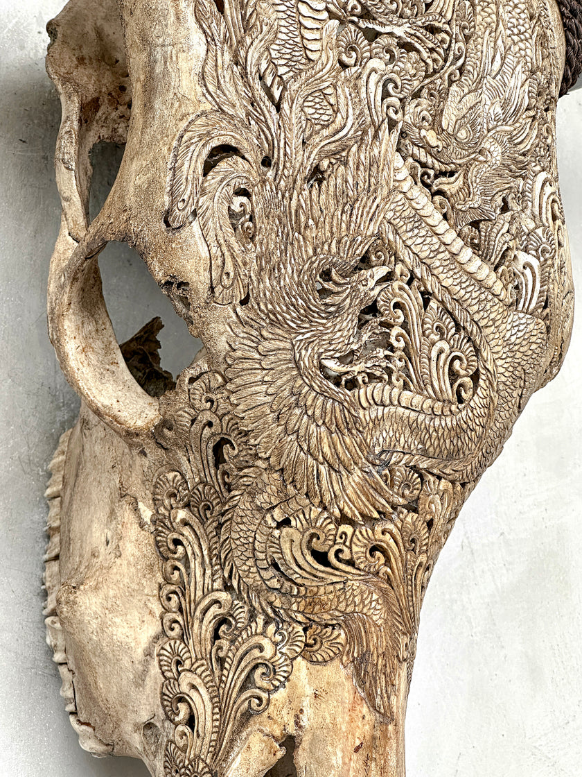 Bull Skull Carved Dragon - Skull,A/155