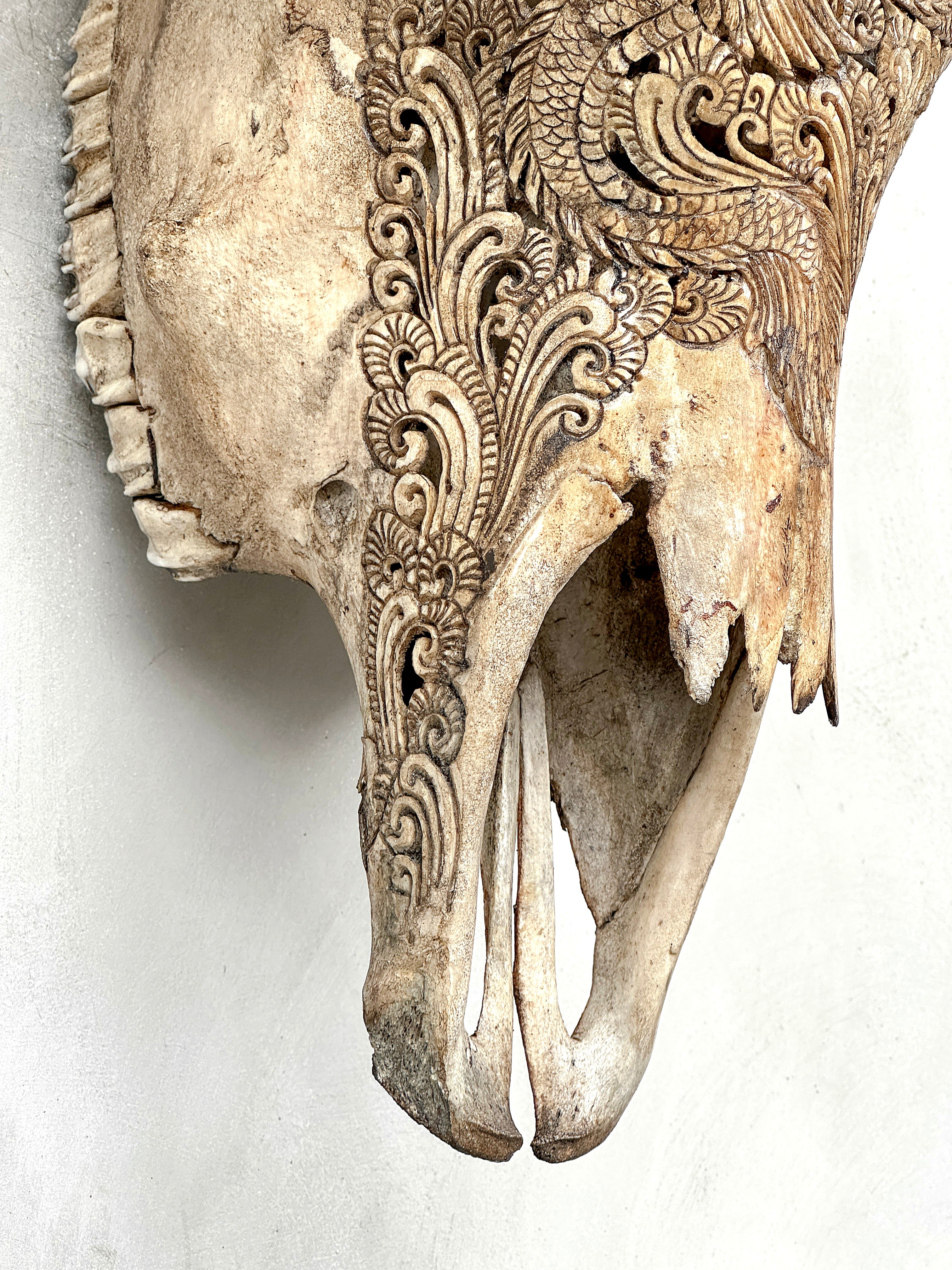 Bull Skull Carved Dragon - Skull,A/155