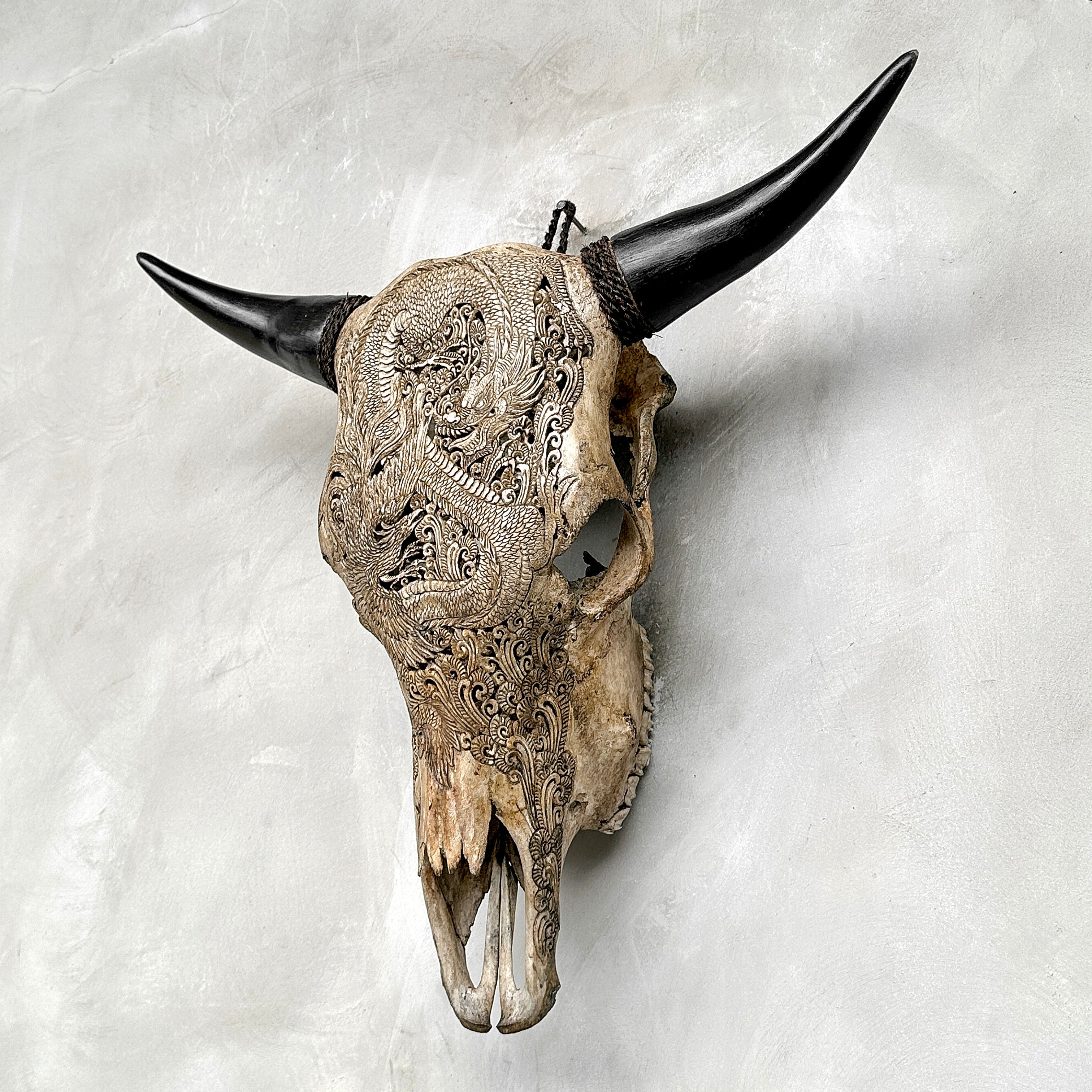 Bull Skull Carved Dragon - Skull,A/155