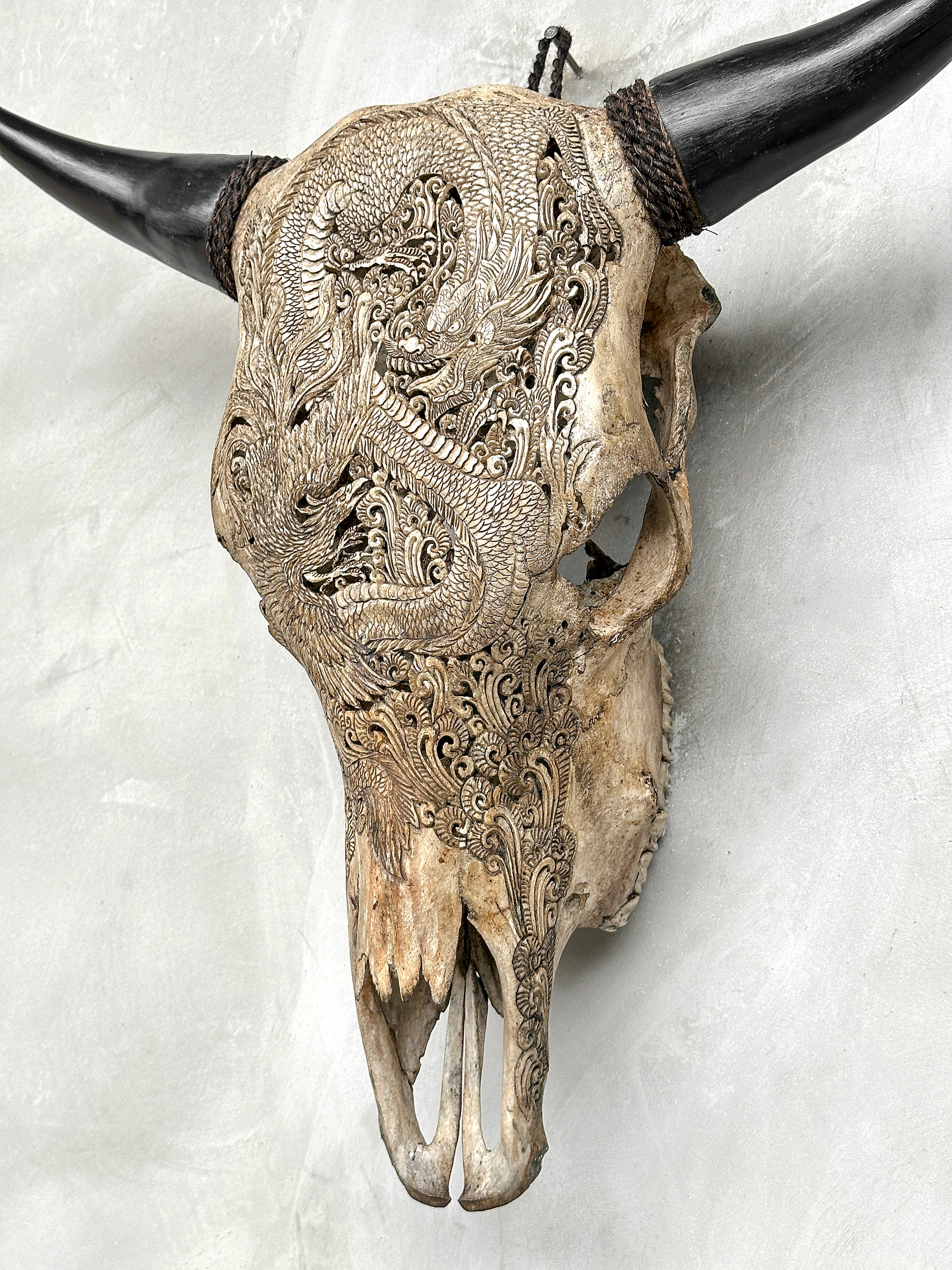 Bull Skull Carved Dragon - Skull,A/155
