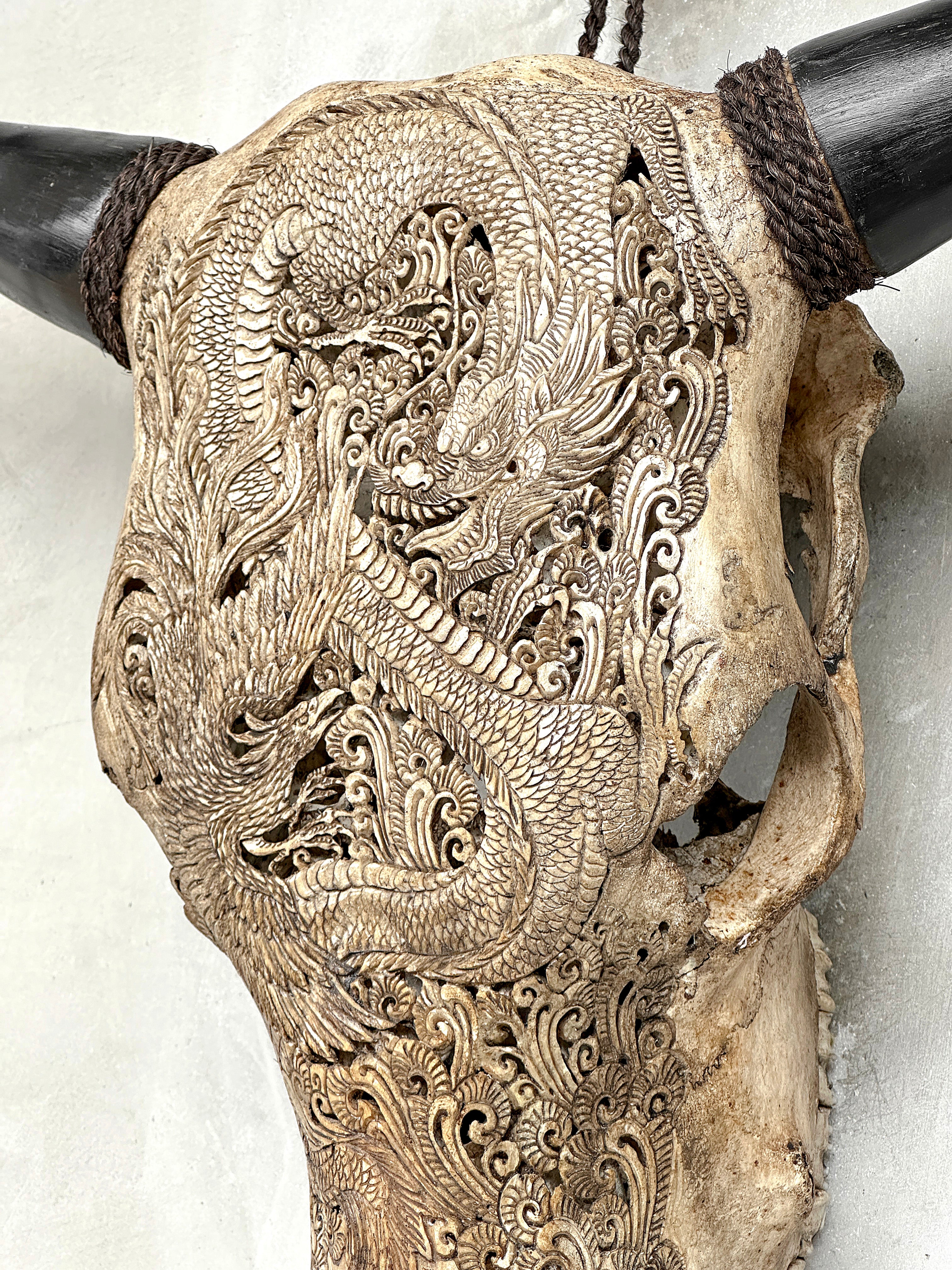 Bull Skull Carved Dragon - Skull,A/155