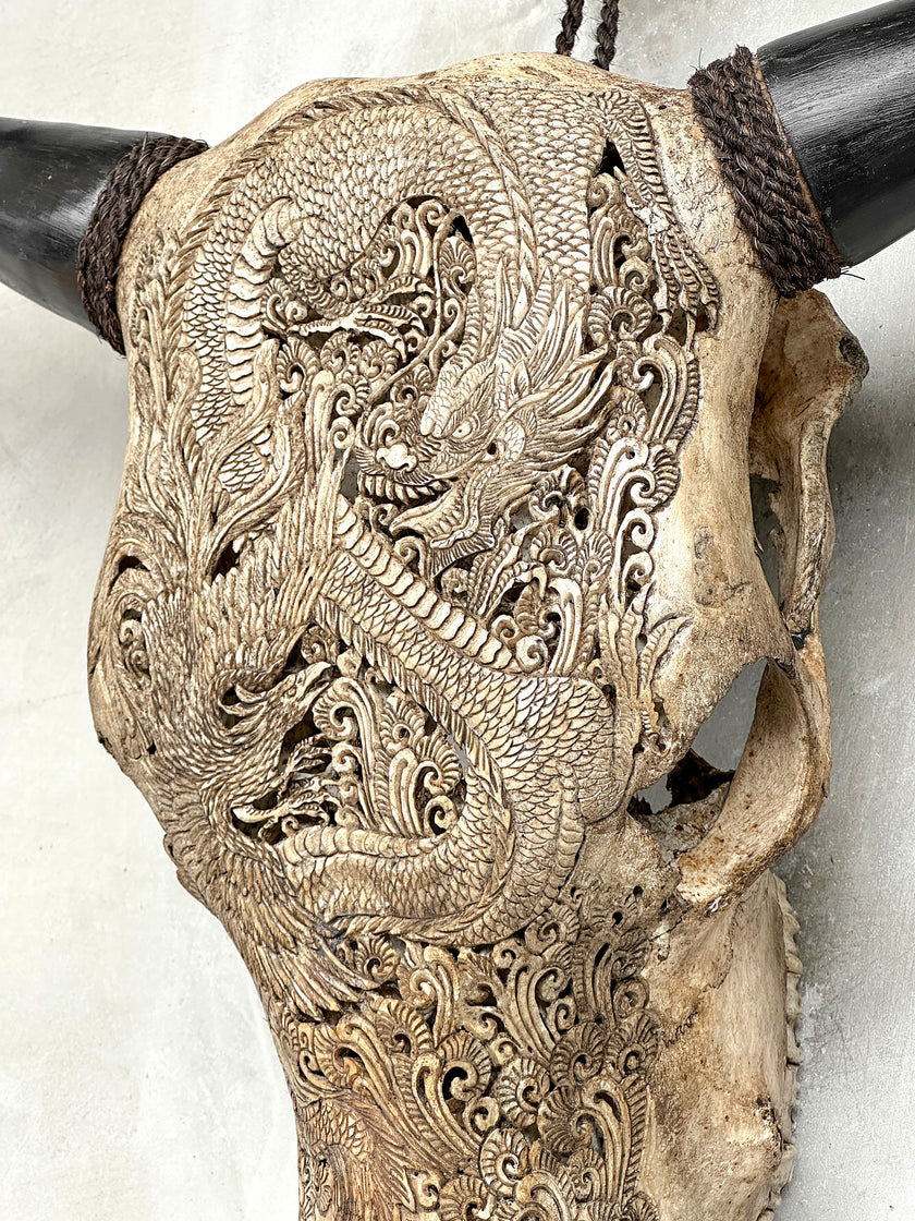Bull Skull Carved Dragon - Skull,A/155