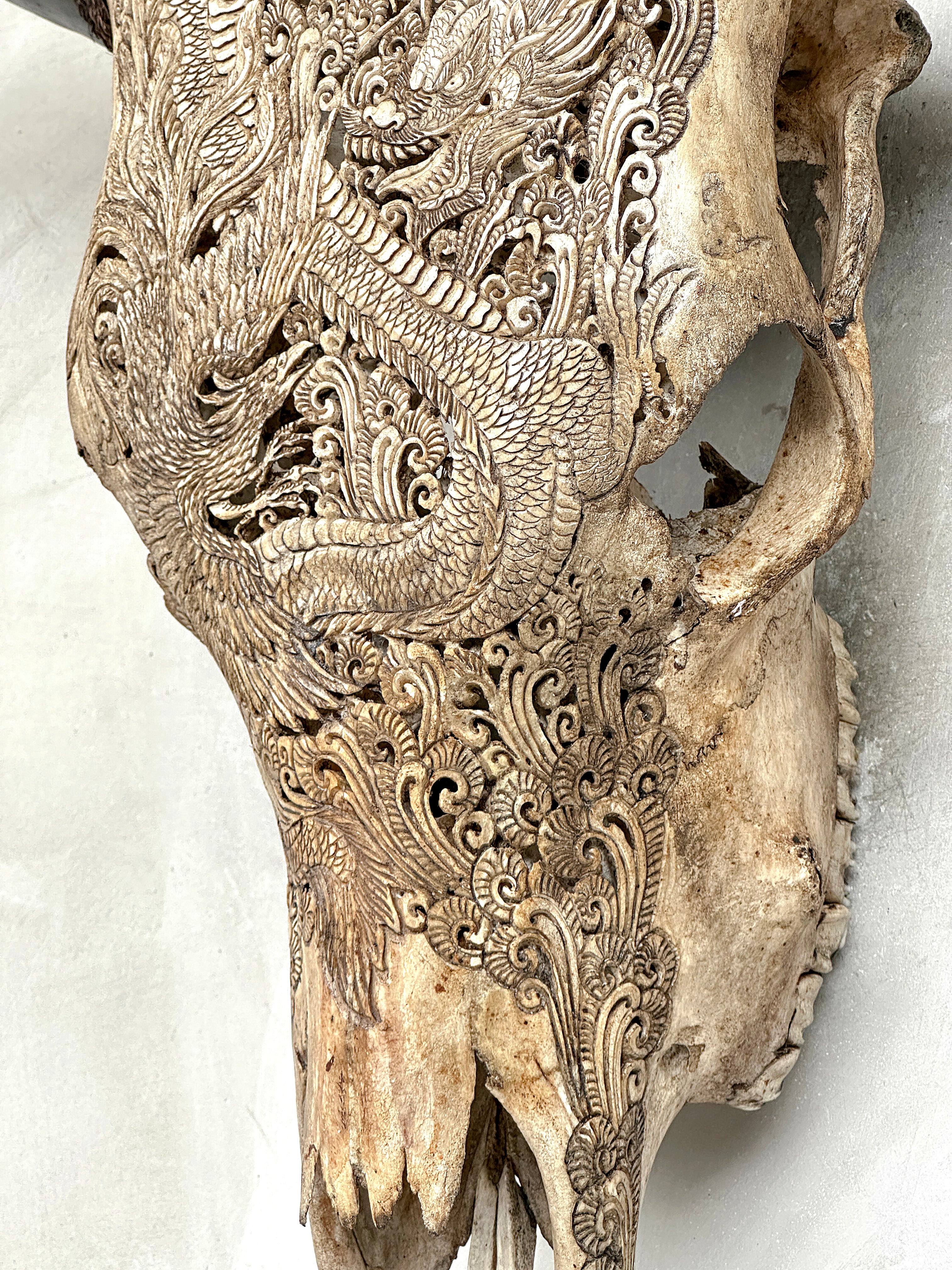 Bull Skull Carved Dragon - Skull,A/155
