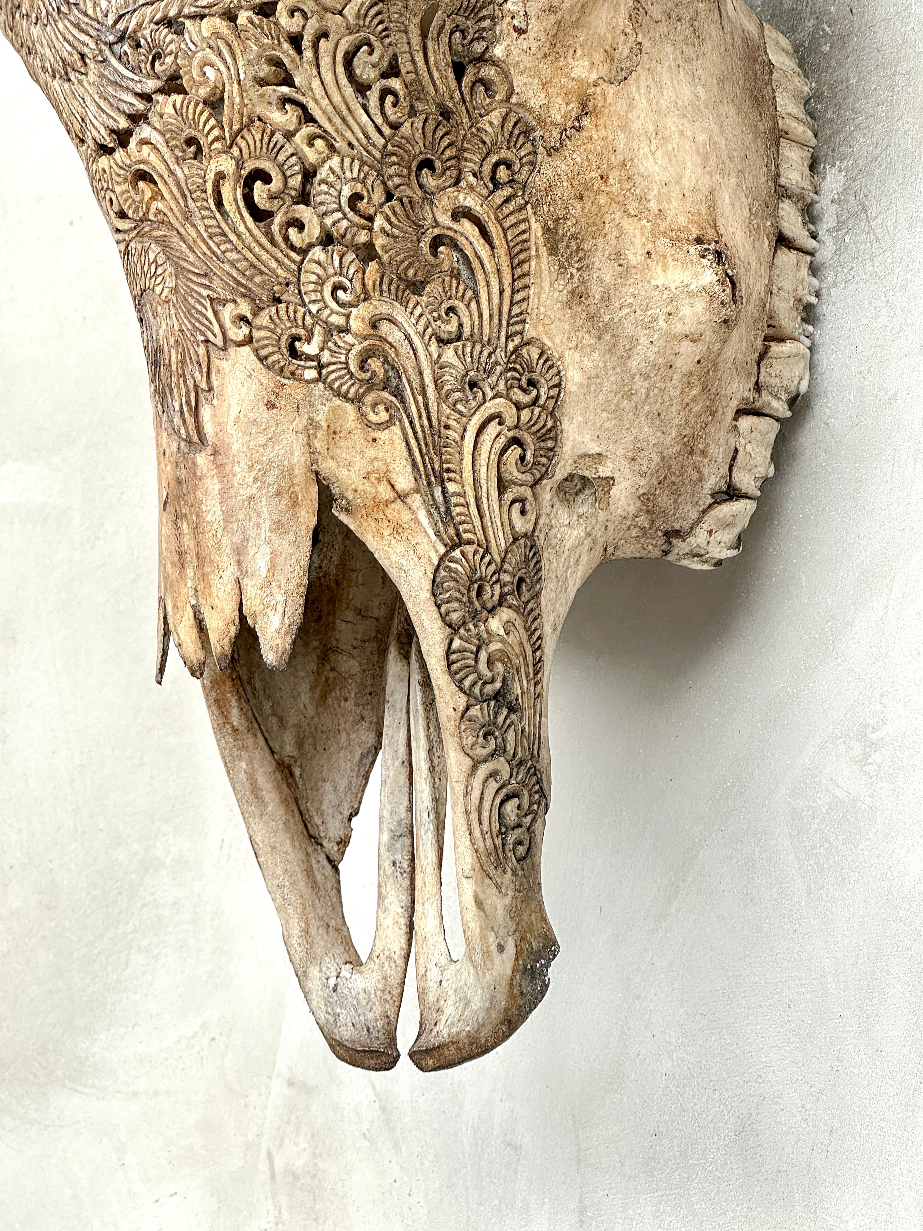 Bull Skull Carved Dragon - Skull,A/155