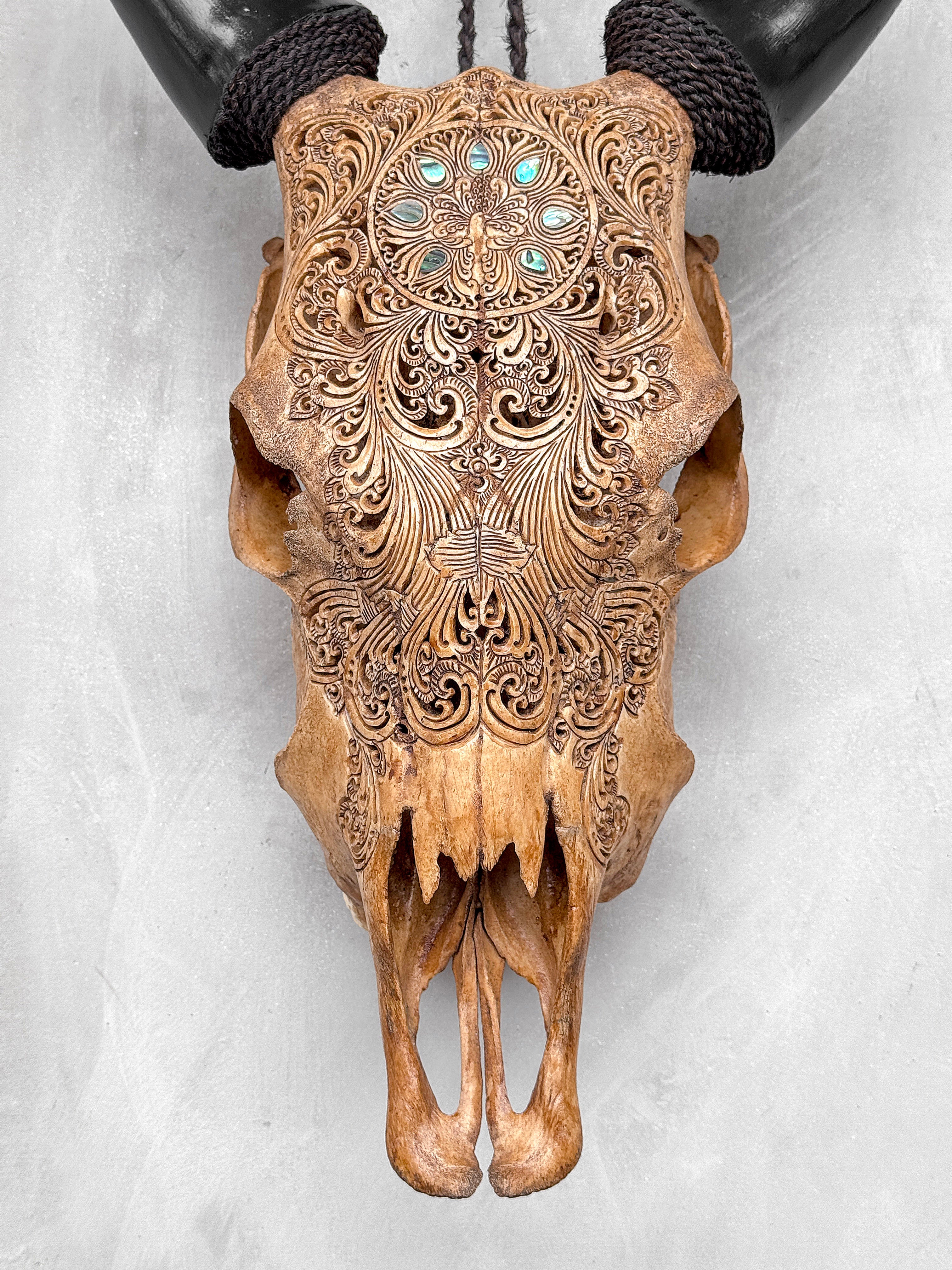 Brown Carved Cow Skull With Abalone Shell Accents - Peacock motif | Skull,A/145
