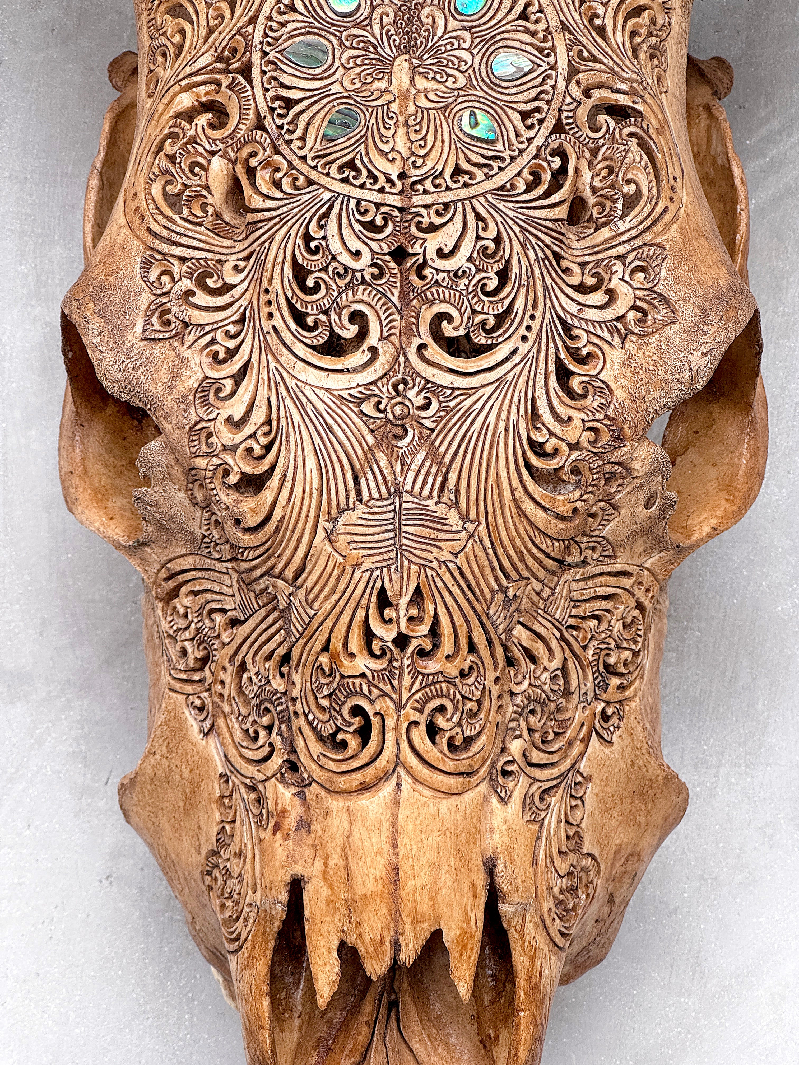 Brown Carved Cow Skull With Abalone Shell Accents - Peacock motif | Skull,A/145