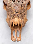 Brown Carved Cow Skull With Abalone Shell Accents - Peacock motif | Skull,A/145