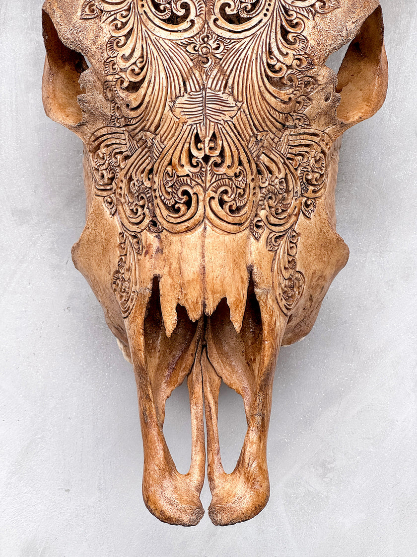 Brown Carved Cow Skull With Abalone Shell Accents - Peacock motif | Skull,A/145