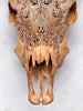 Brown Carved Cow Skull With Abalone Shell Accents - Peacock motif | Skull,A/145