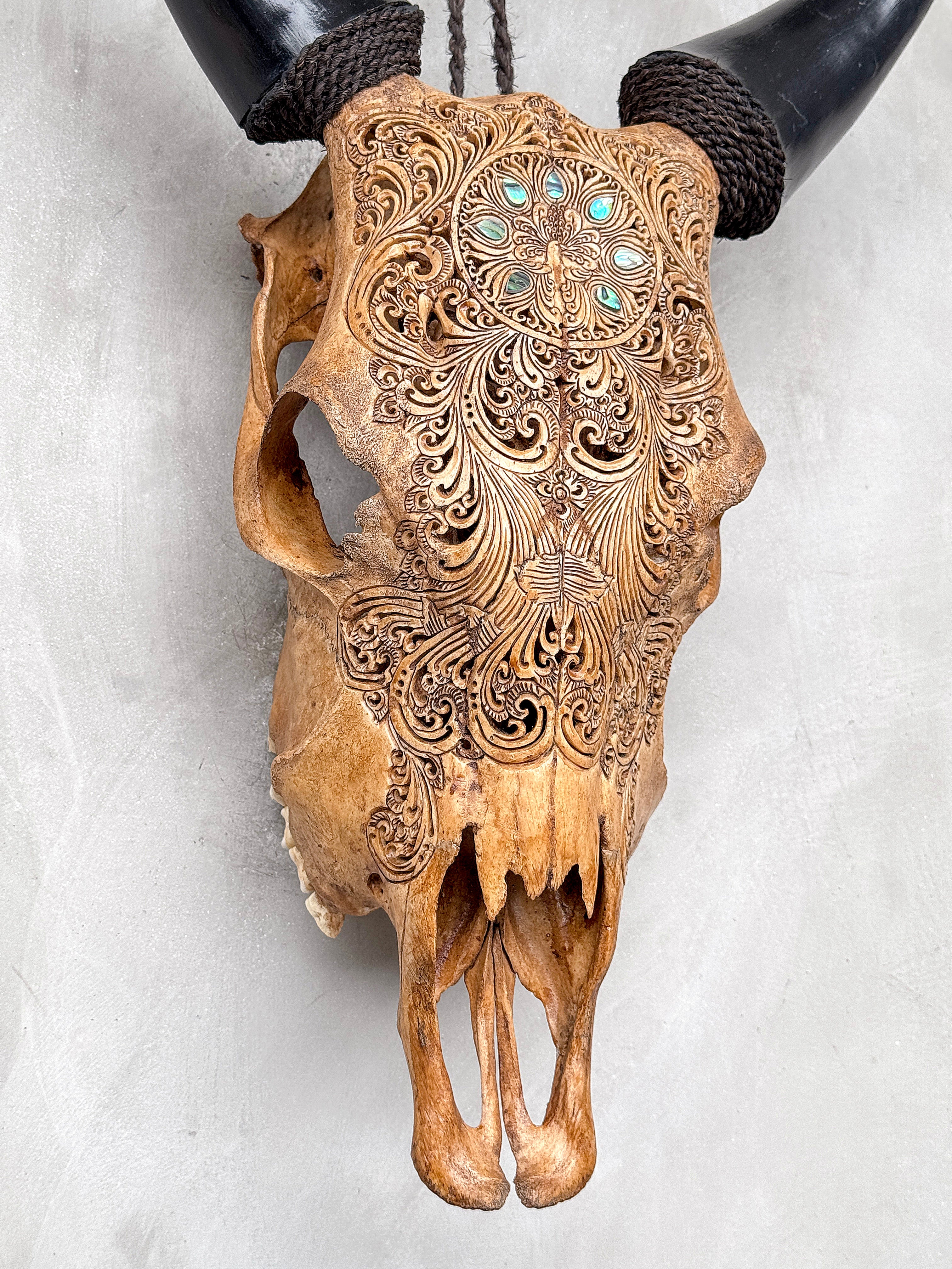 Brown Carved Cow Skull With Abalone Shell Accents - Peacock motif | Skull,A/145