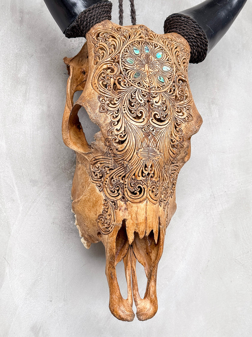 Brown Carved Cow Skull With Abalone Shell Accents - Peacock motif | Skull,A/145