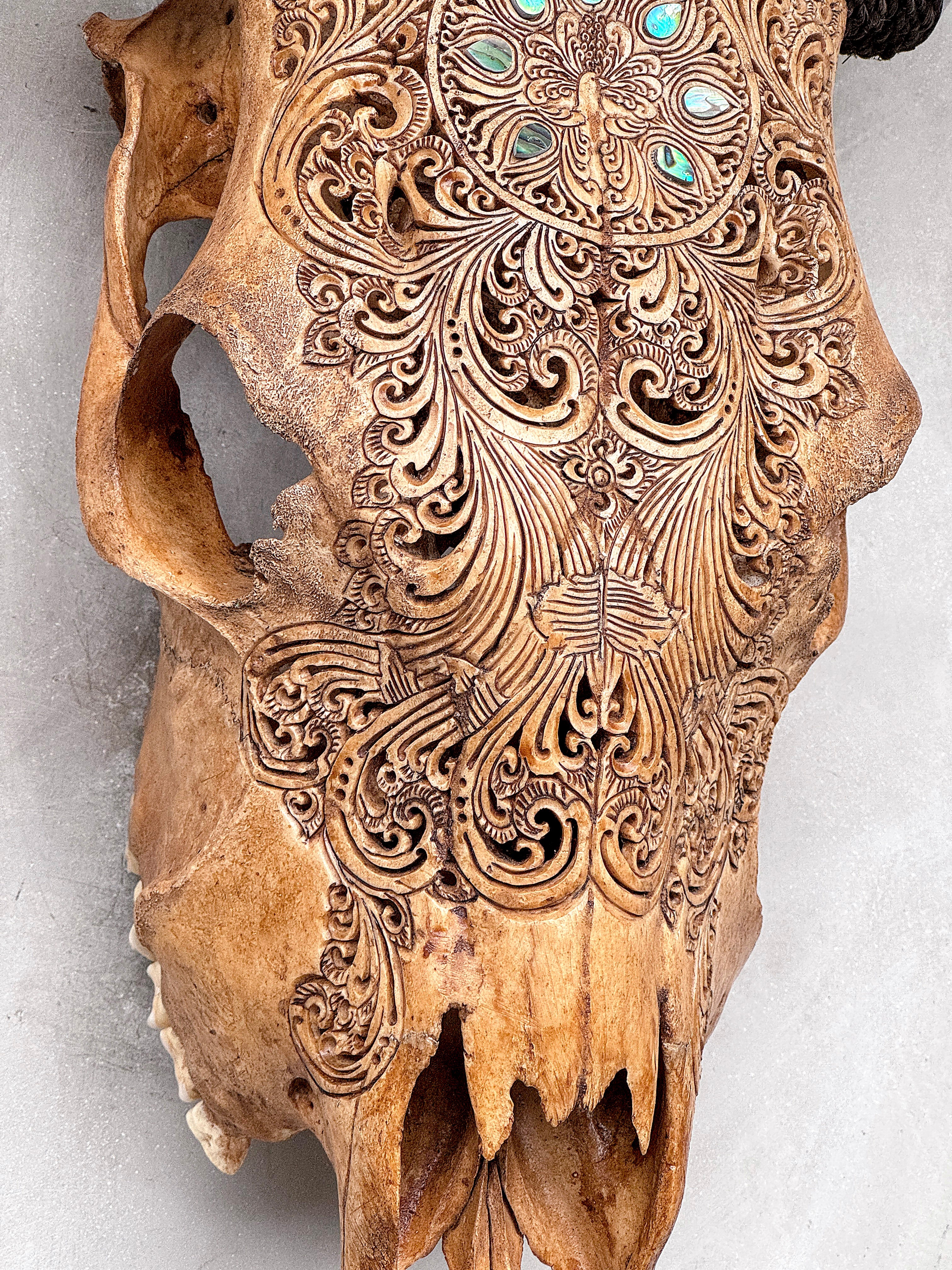 Brown Carved Cow Skull With Abalone Shell Accents - Peacock motif | Skull,A/145