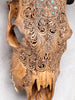 Brown Carved Cow Skull With Abalone Shell Accents - Peacock motif | Skull,A/145