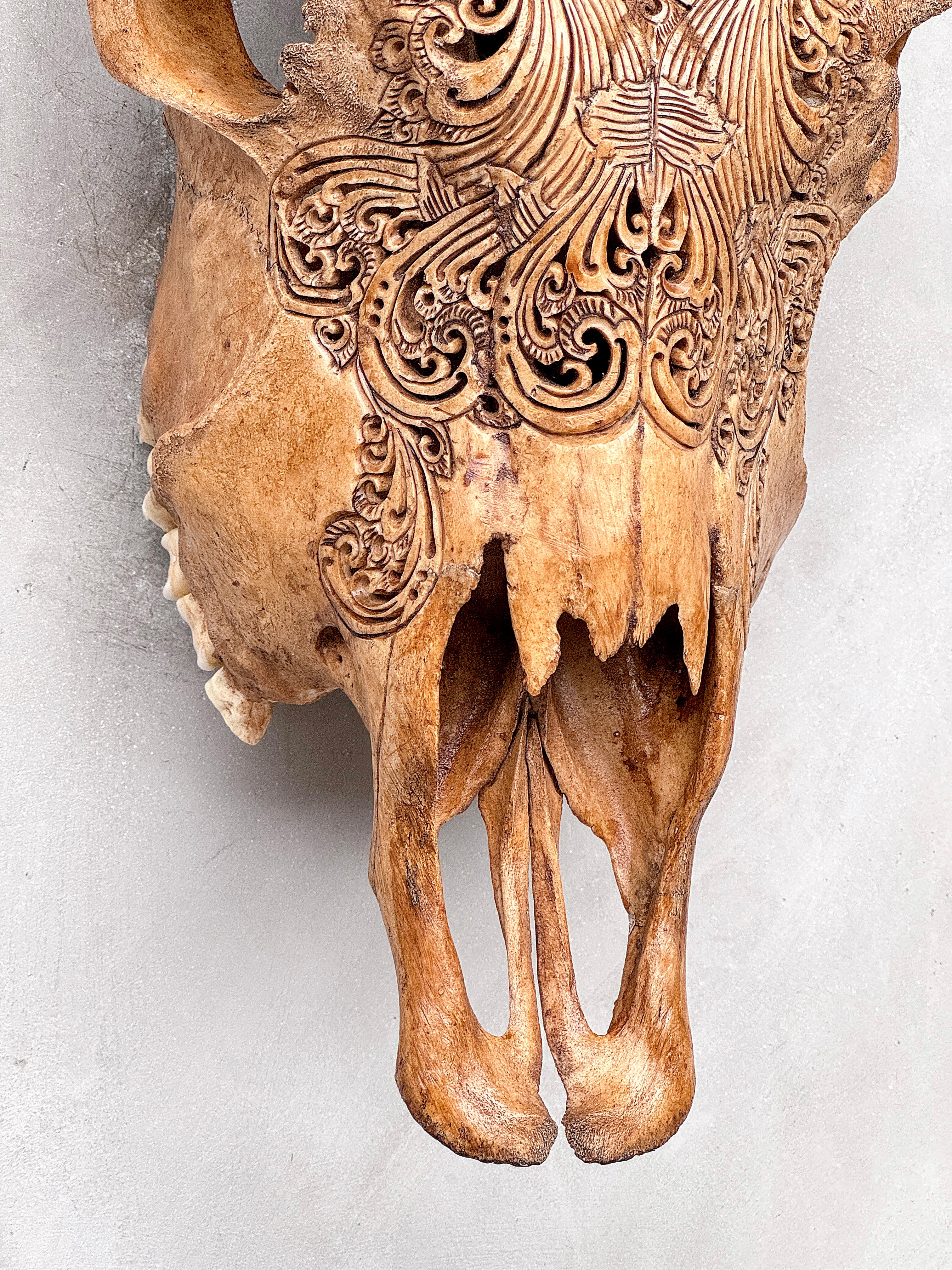 Brown Carved Cow Skull With Abalone Shell Accents - Peacock motif | Skull,A/145