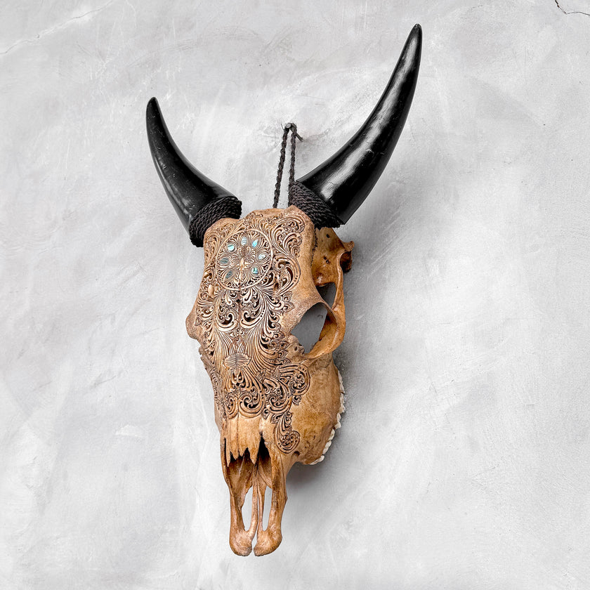 Brown Carved Cow Skull With Abalone Shell Accents - Peacock motif | Skull,A/145