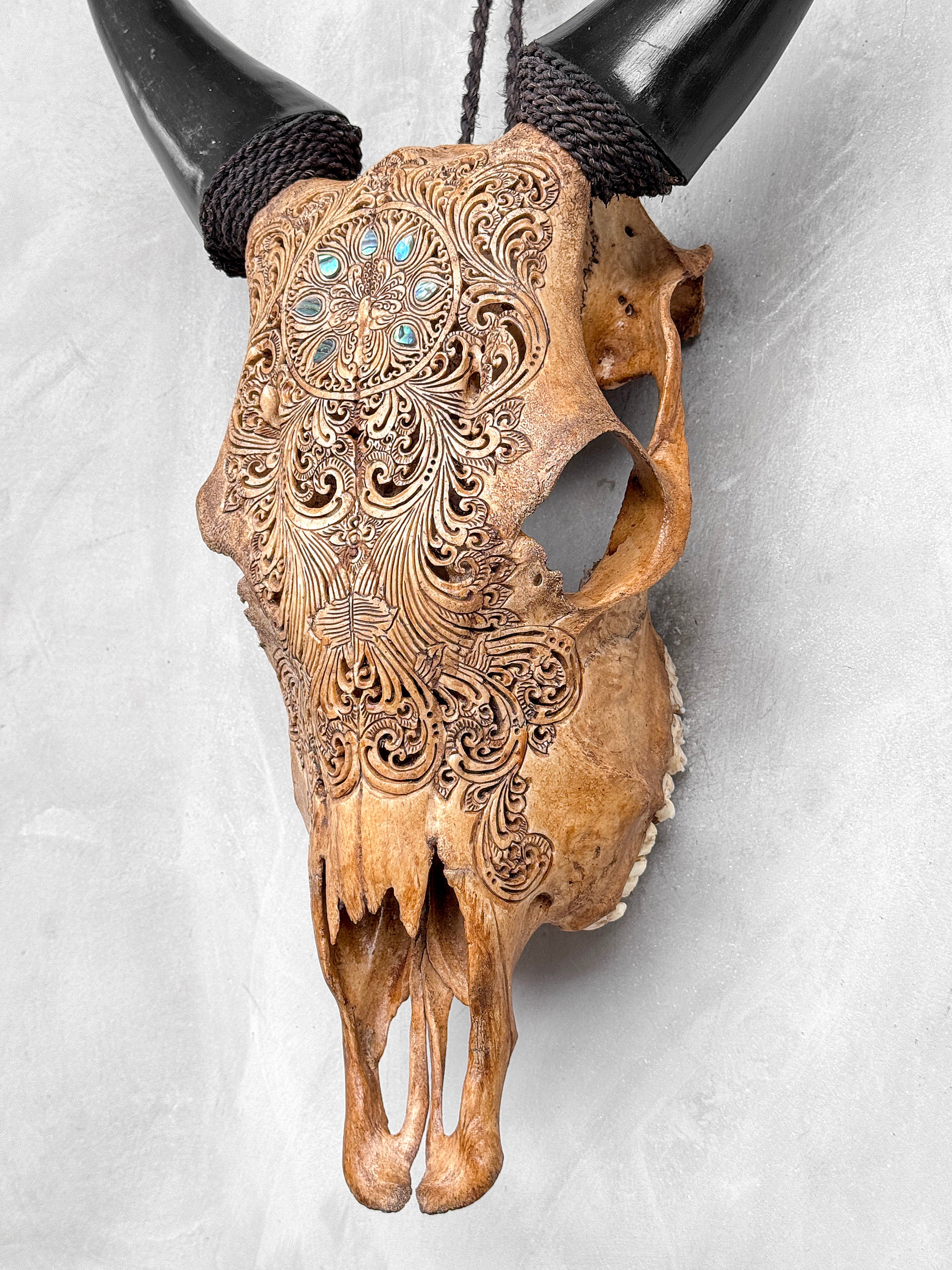 Brown Carved Cow Skull With Abalone Shell Accents - Peacock motif | Skull,A/145