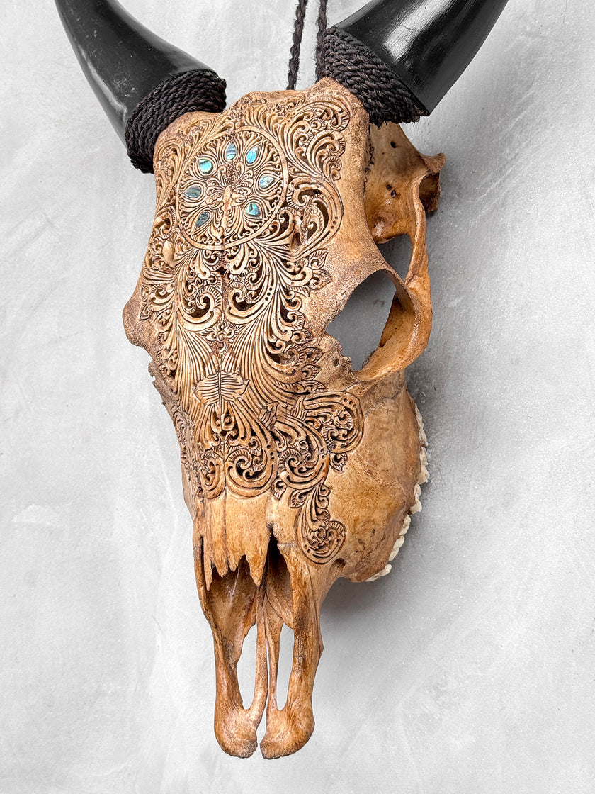 Brown Carved Cow Skull With Abalone Shell Accents - Peacock motif | Skull,A/145