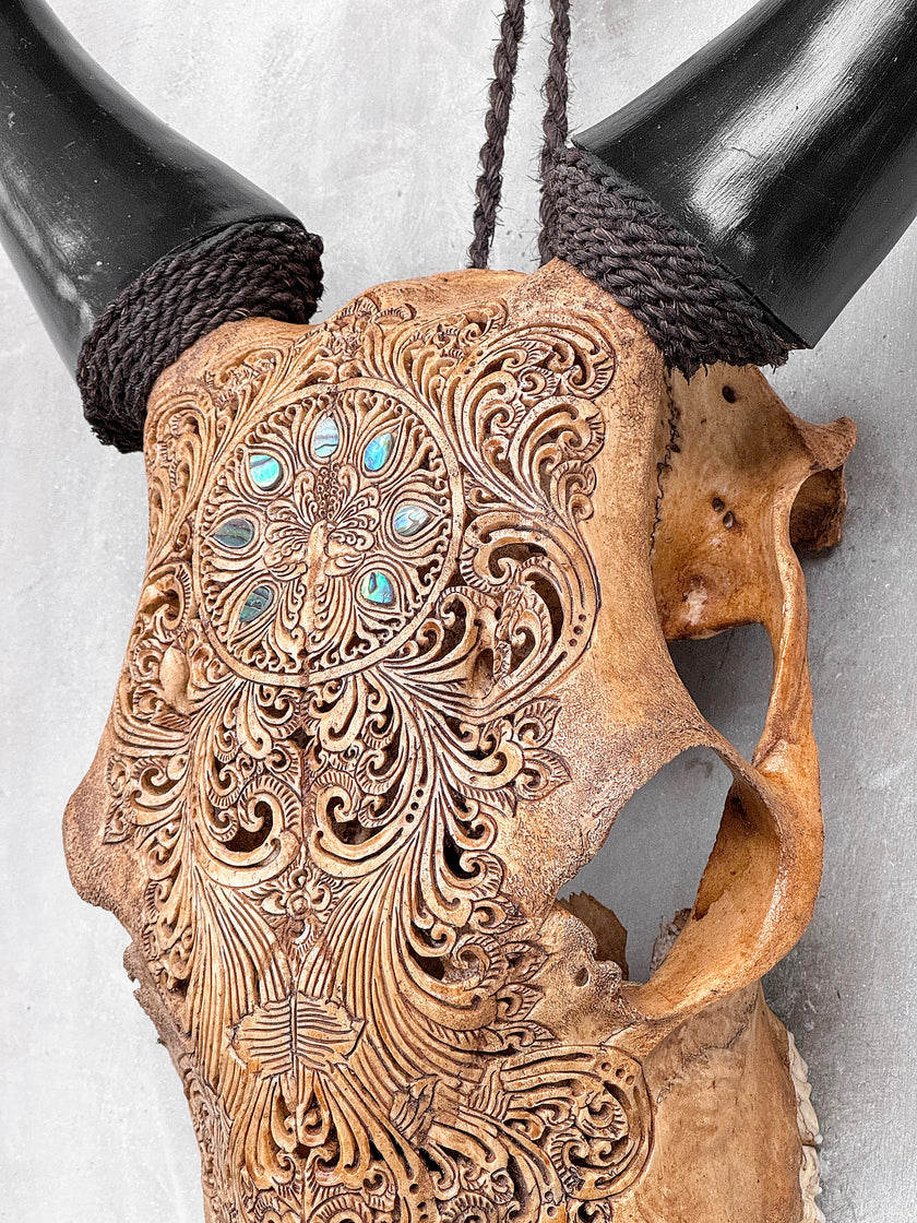 Brown Carved Cow Skull With Abalone Shell Accents - Peacock motif | Skull,A/145