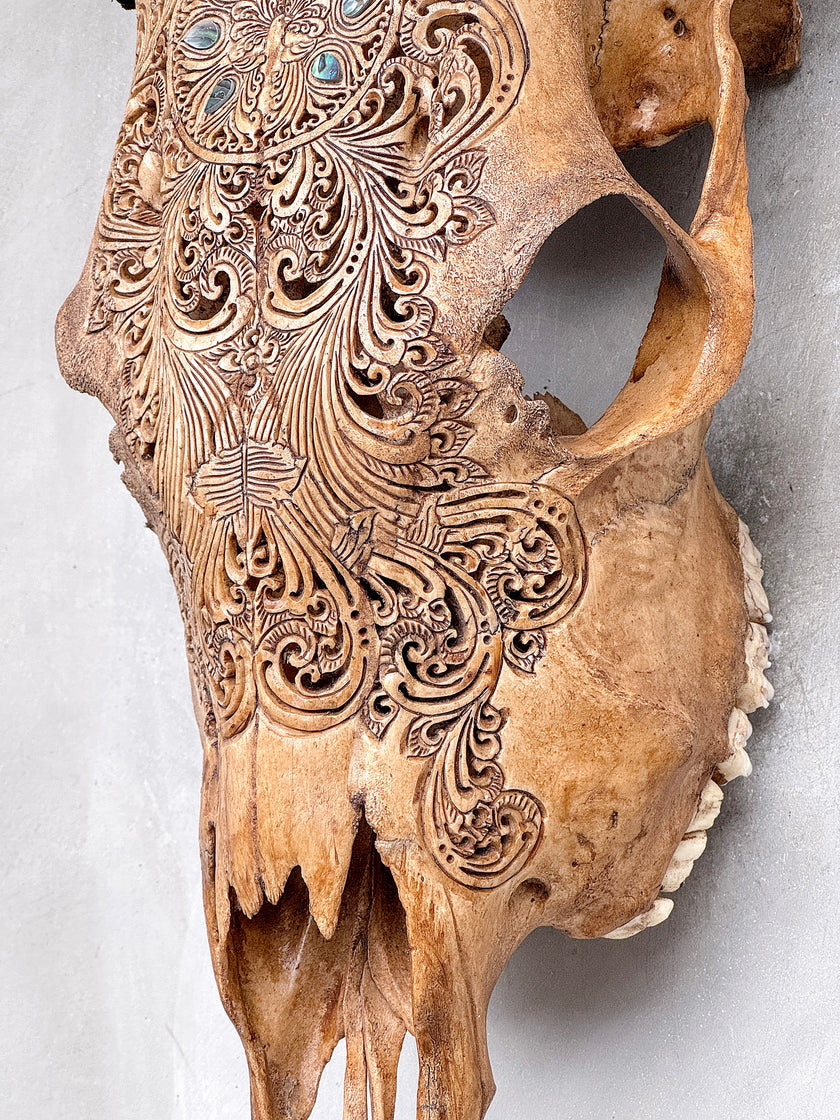 Brown Carved Cow Skull With Abalone Shell Accents - Peacock motif | Skull,A/145