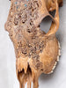 Brown Carved Cow Skull With Abalone Shell Accents - Peacock motif | Skull,A/145