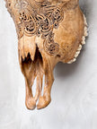 Brown Carved Cow Skull With Abalone Shell Accents - Peacock motif | Skull,A/145