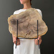 Beautiful Slice of Petrified Wood on stand PetW/042