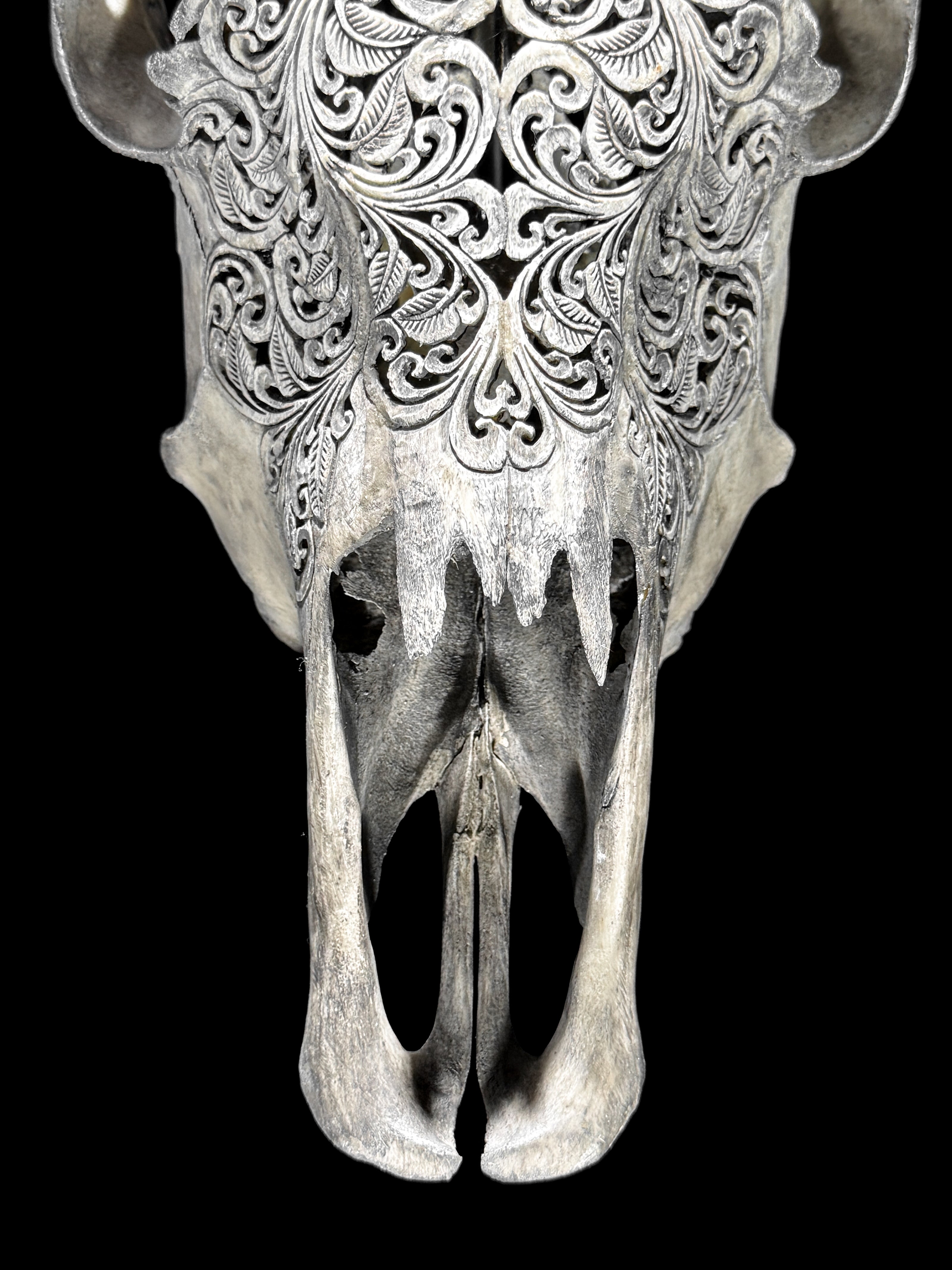 Fully carved cow skulls with Star Mandala Carving Skull,A/084