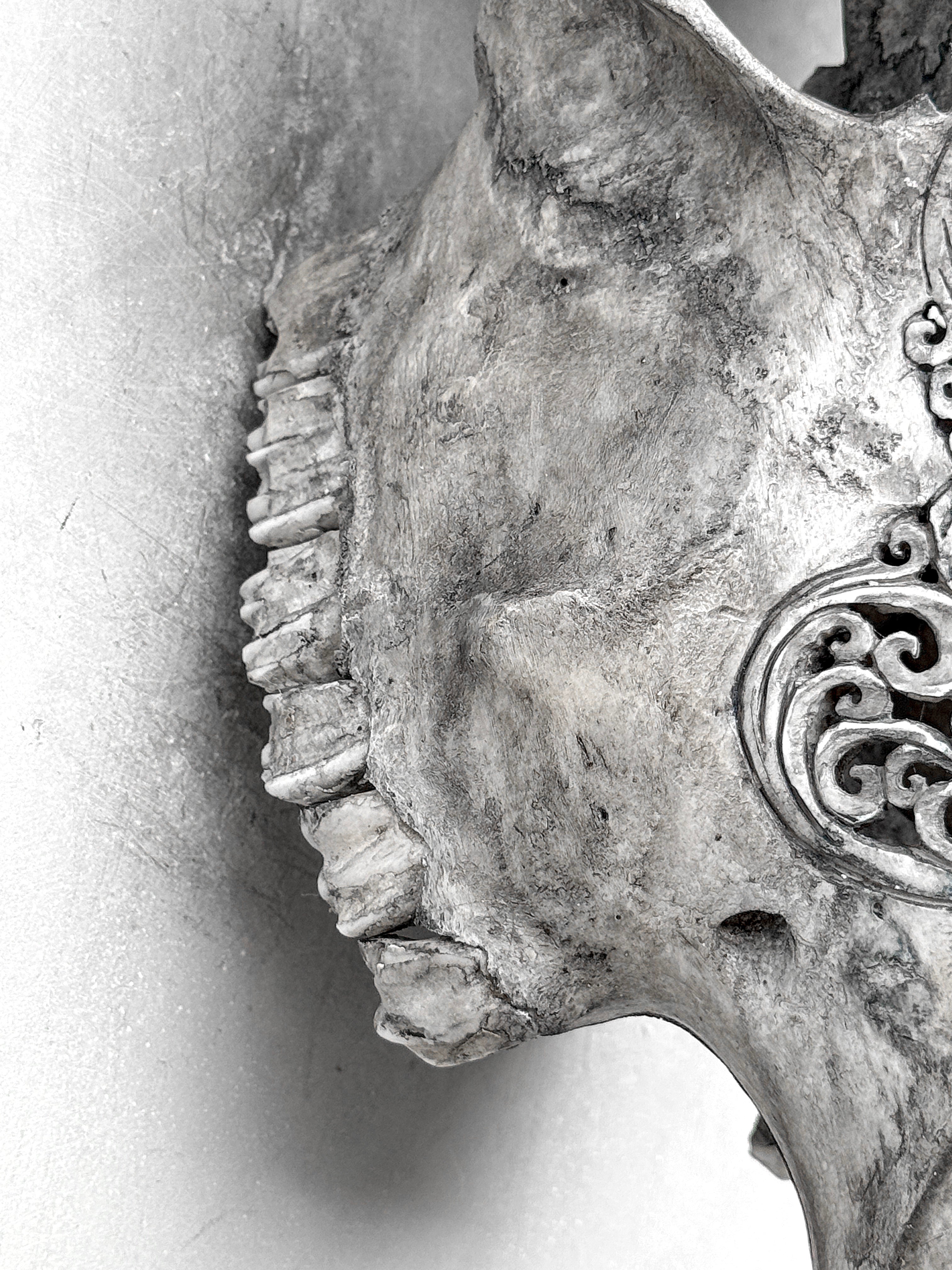 Grey Carved Cow Skull With Turqoise Accents - Ketupat motif | Skull,A/139