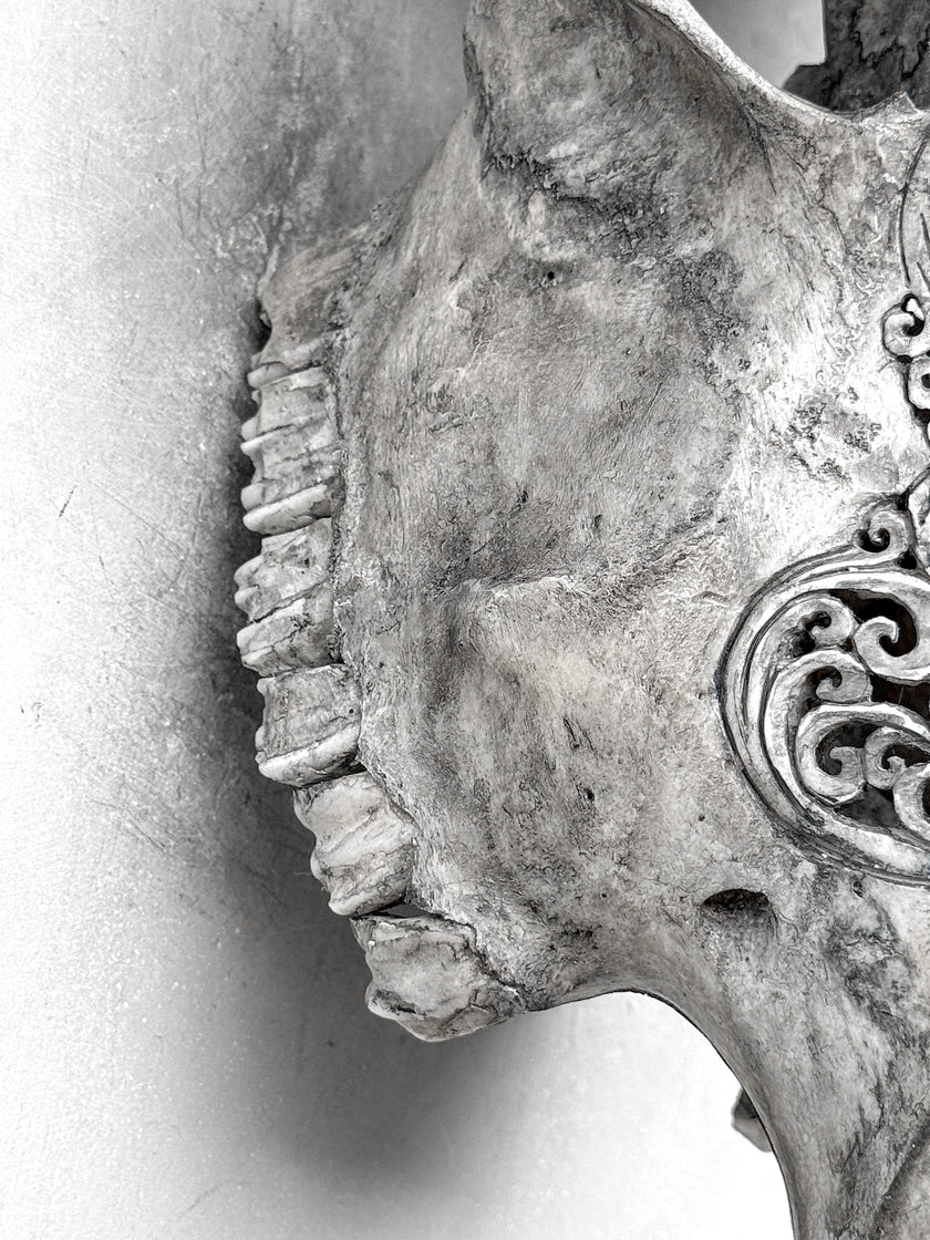 Grey Carved Cow Skull With Turqoise Accents - Ketupat motif | Skull,A/139