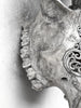 Grey Carved Cow Skull With Turqoise Accents - Ketupat motif | Skull,A/139