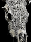 Fully carved cow skulls with Star Mandala Carving Skull,A/084