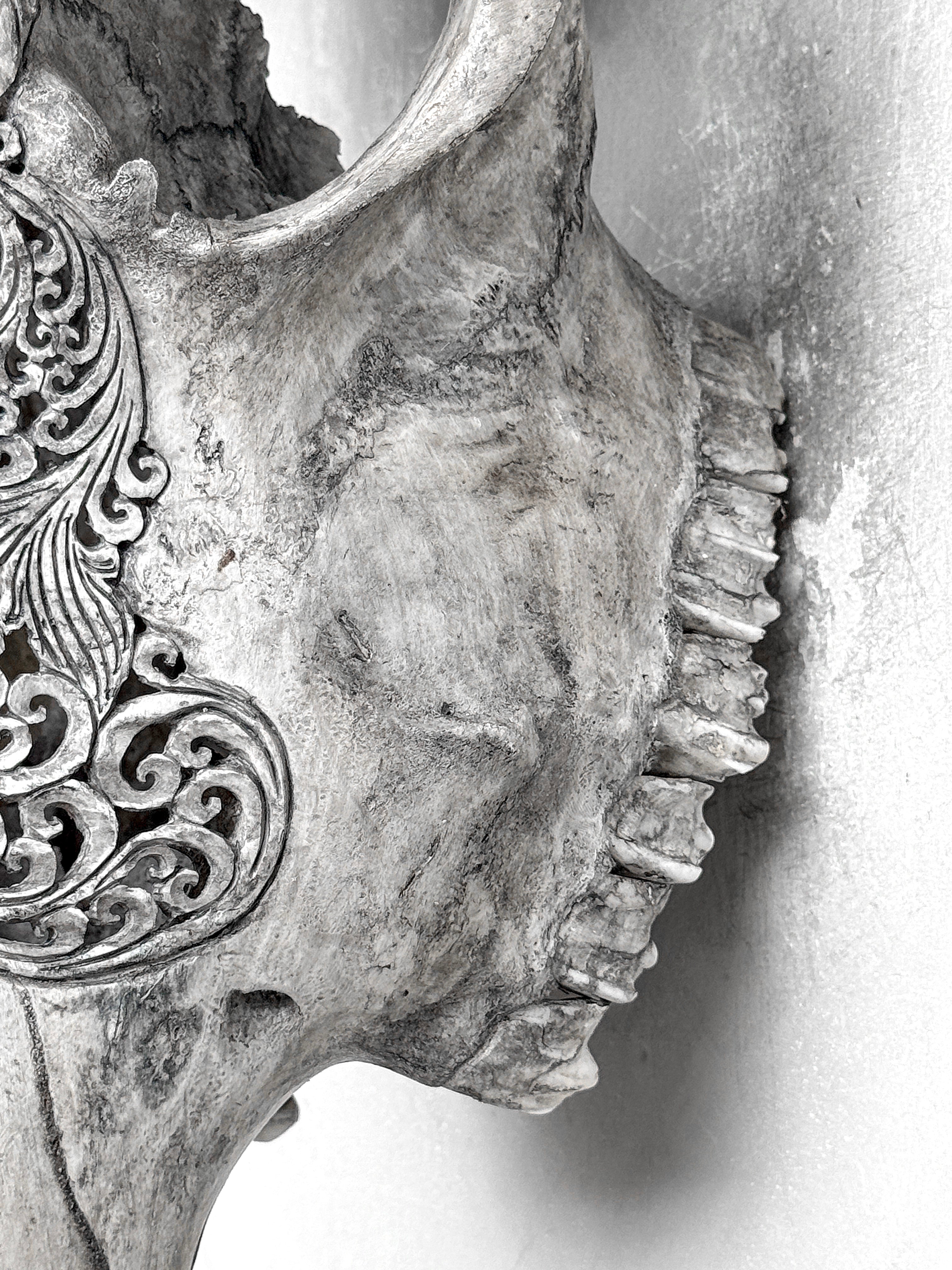 Grey Carved Cow Skull With Turqoise Accents - Ketupat motif | Skull,A/139