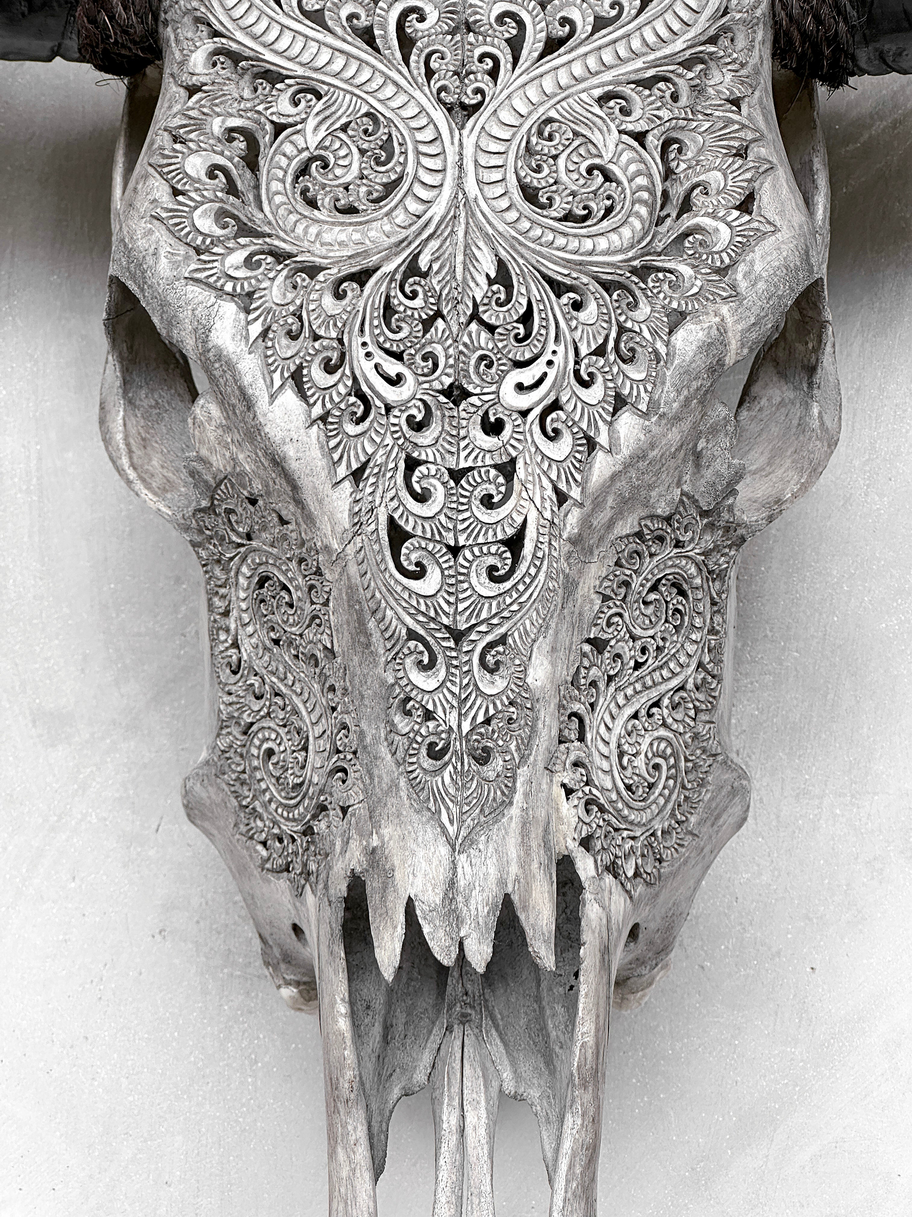Grey Carved Buffalo Skulls with Leaf motif | Skull,A/176