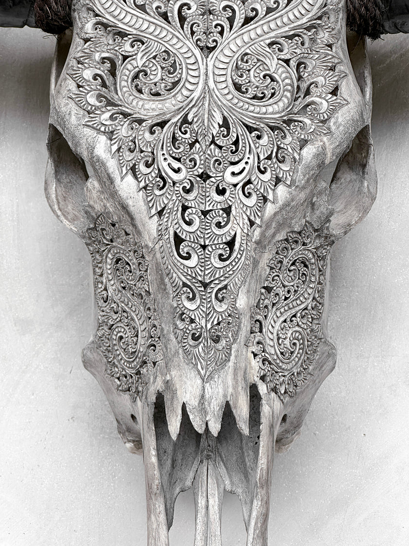 Grey Carved Buffalo Skulls with Leaf motif | Skull,A/176
