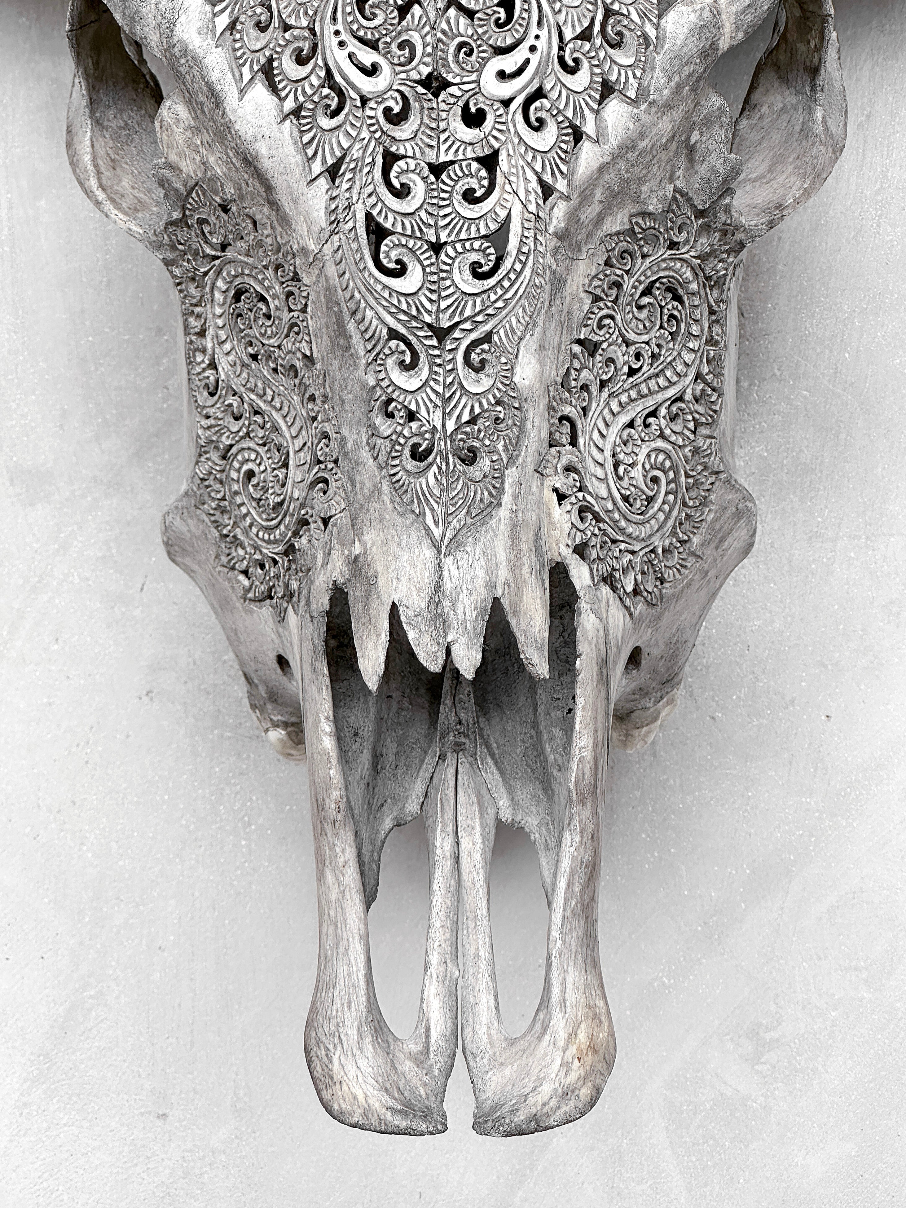 Grey Carved Buffalo Skulls with Leaf motif | Skull,A/176